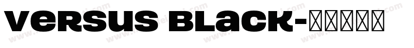 Versus Black字体转换